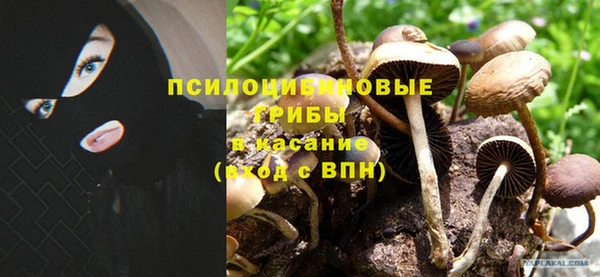 прущий лед Алзамай